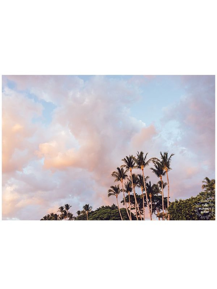 Art The Sunset | Cotton Candy Palms