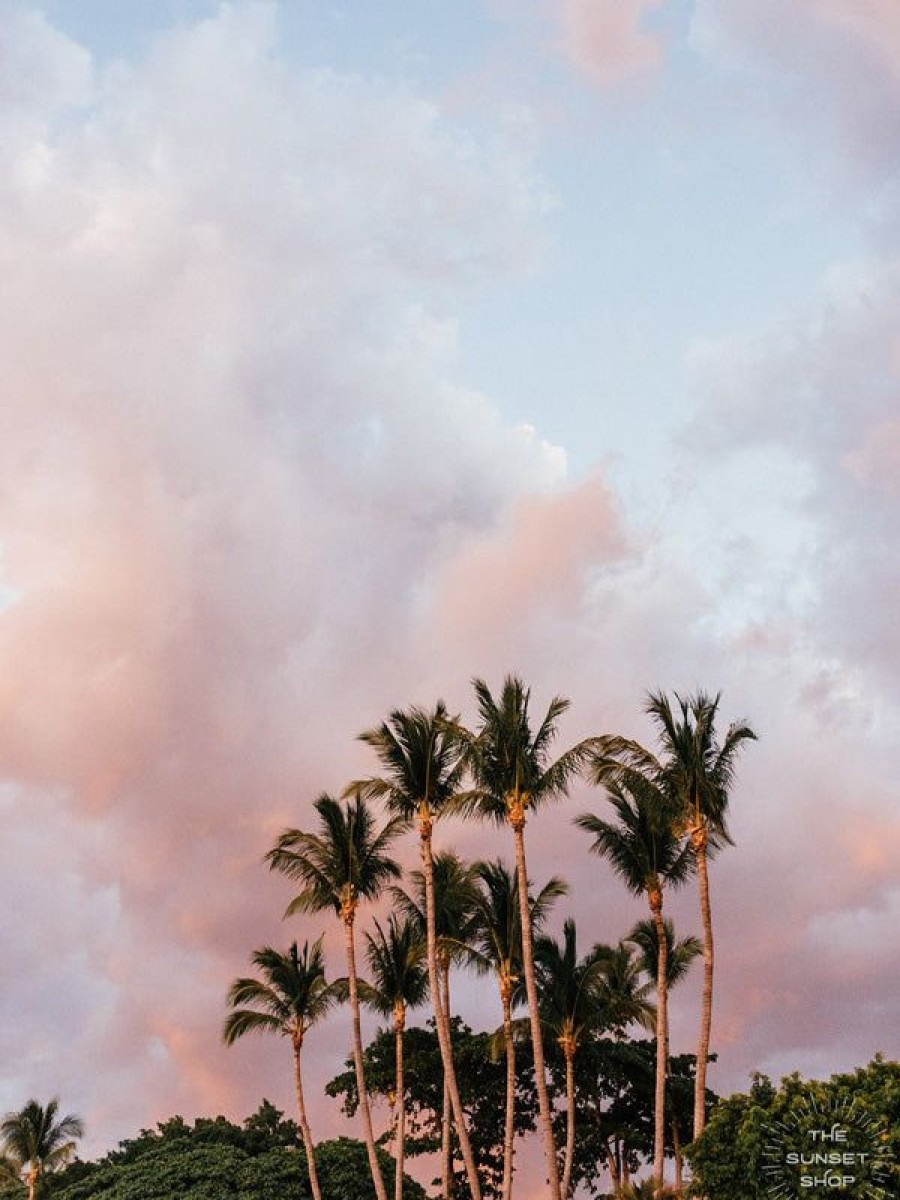 Art The Sunset | Cotton Candy Palms