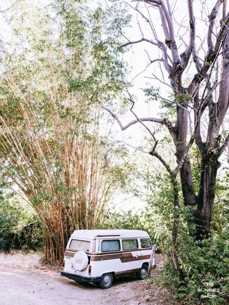 Art The Sunset | Bamboo Bus