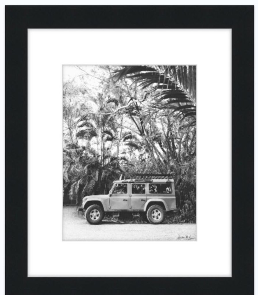 Art The Sunset | Tropical Sleigh - Framed 8"X10" Print @ Faherty Brand King St Chs