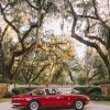 Art The Sunset | Lowcountry Ferrari 365