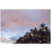 Art The Sunset | Palm Trees + Rainbows