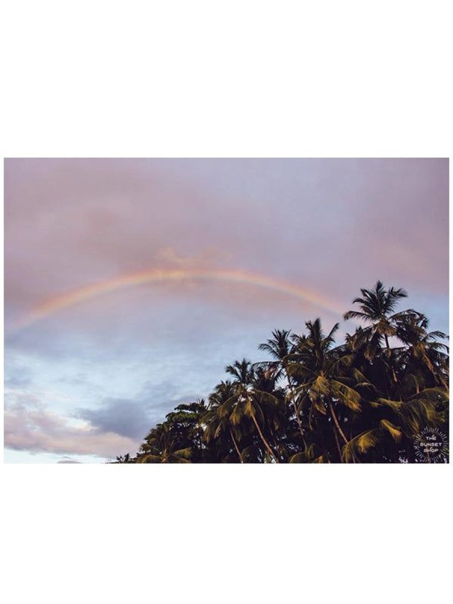 Art The Sunset | Palm Trees + Rainbows