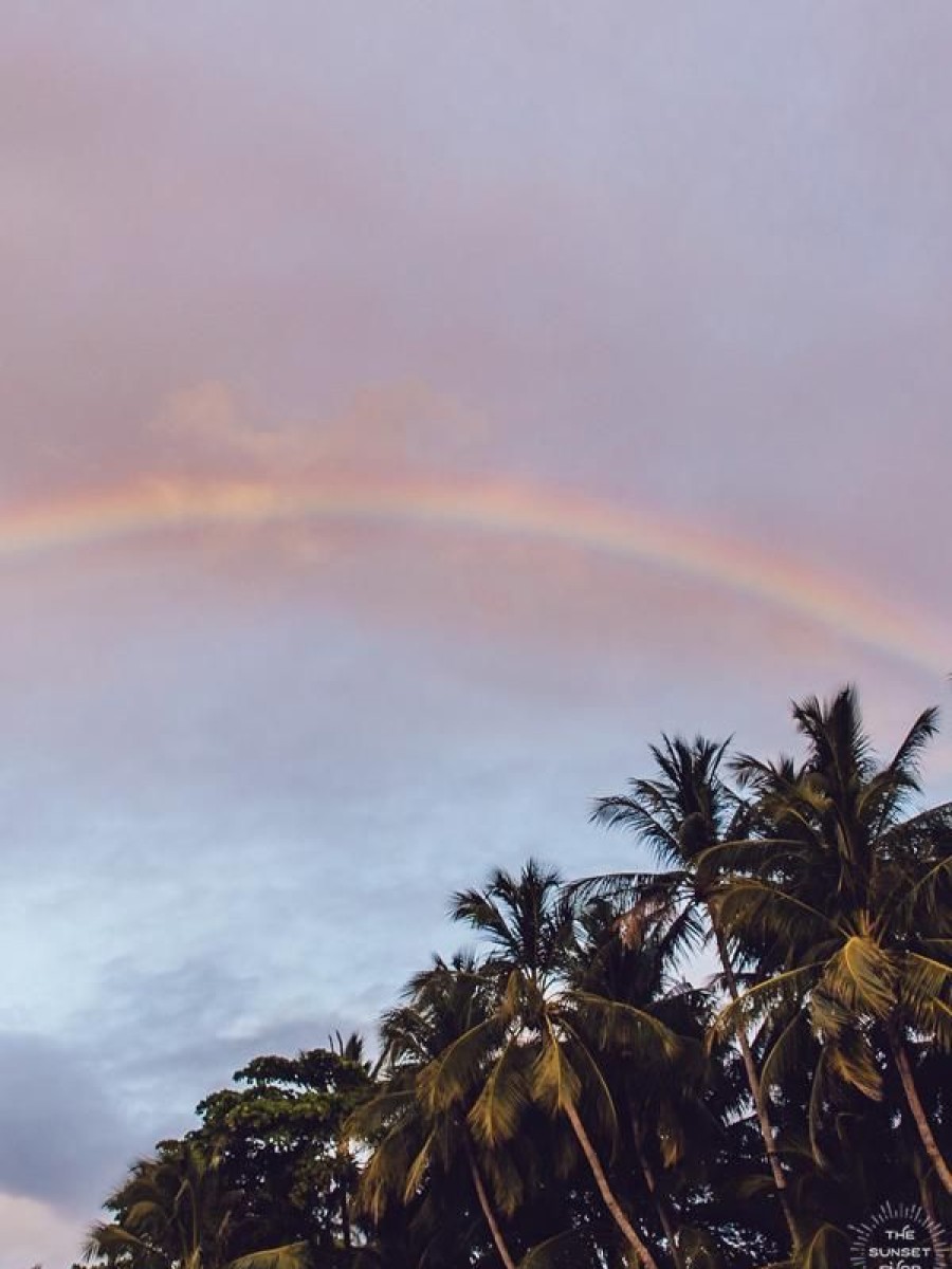 Art The Sunset | Palm Trees + Rainbows