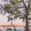 Art The Sunset | Lowcountry Cruising