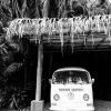 Art The Sunset | Pura Vida Bus - Black & White