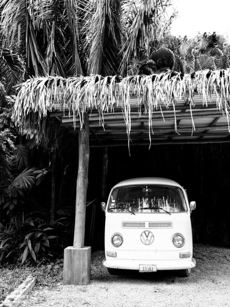 Art The Sunset | Pura Vida Bus - Black & White