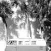 Art The Sunset | Palmetto Bus - Black & White